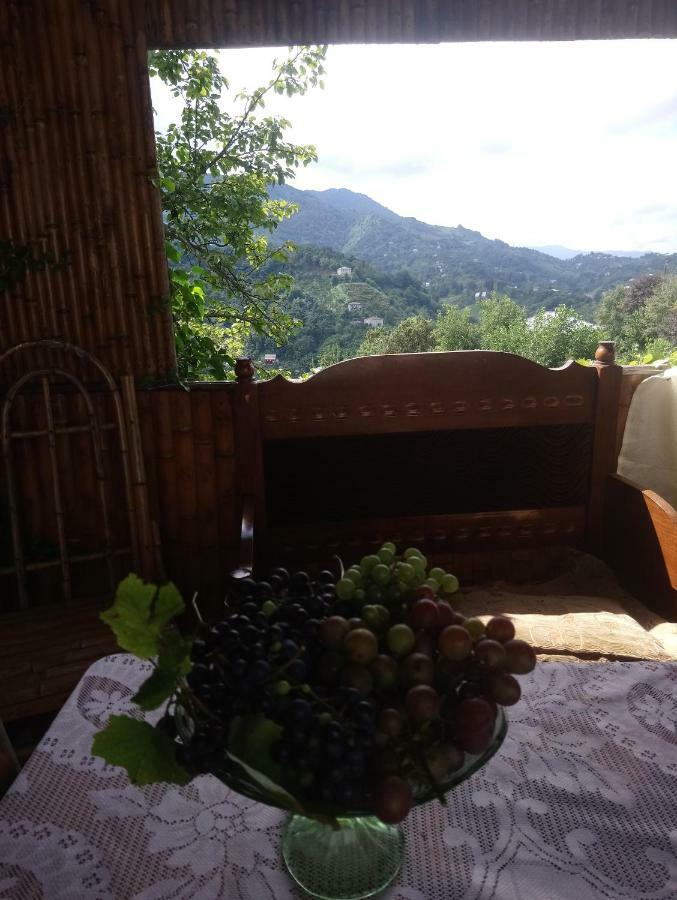 Guest House And Cellar Winery In Ortabatumi Batumi Georgia Eksteriør billede